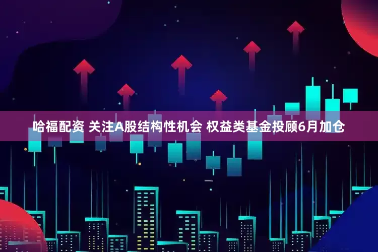 哈福配资 关注A股结构性机会 权益类基金投顾6月加仓