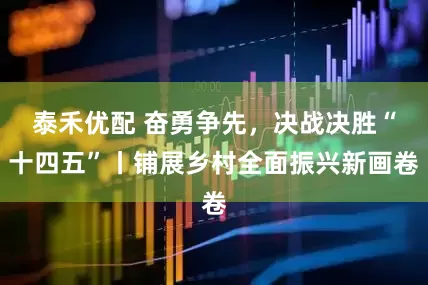 泰禾优配 奋勇争先，决战决胜“十四五”丨铺展乡村全面振兴新画卷
