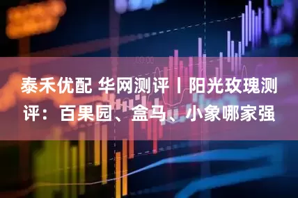 泰禾优配 华网测评丨阳光玫瑰测评：百果园、盒马、小象哪家强
